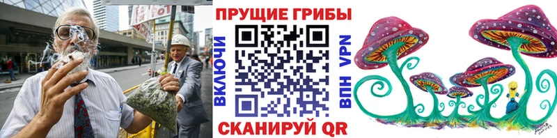 где продают наркотики  Нововоронеж  Галлюциногенные грибы Psilocybine cubensis 